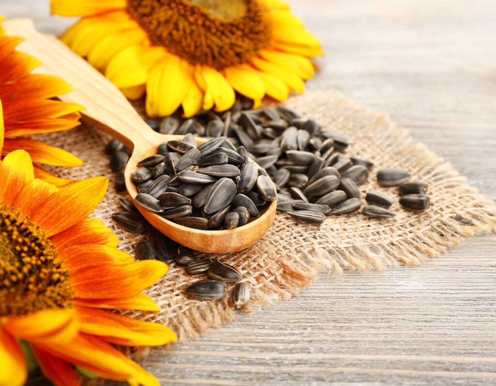sunflower seeds